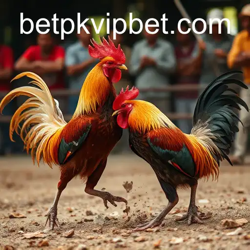 Cockfighting: A Controversial Bloodsport